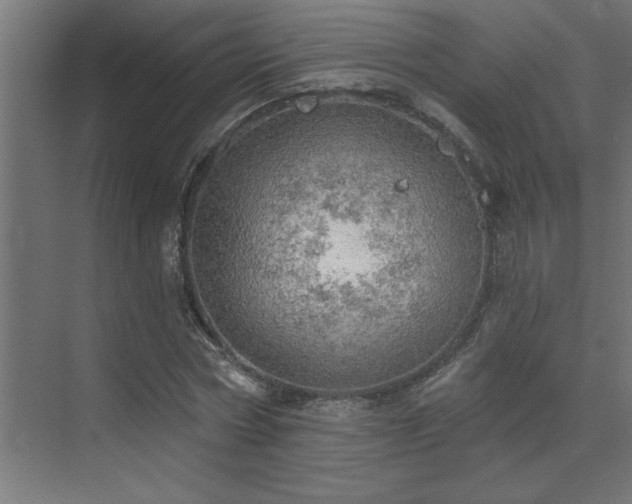 X0000072970778200607211222