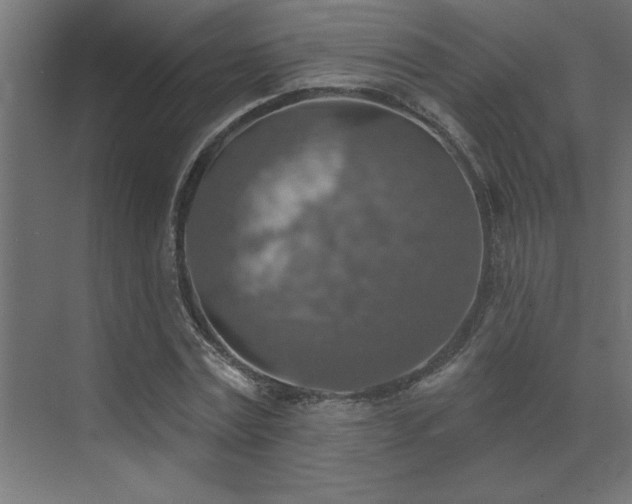 X0000072970779200607211222