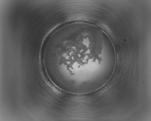 X0000072970780200607211222