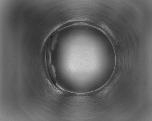 X0000072970781200607211222