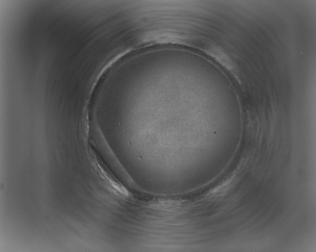 X0000072970782200607211222