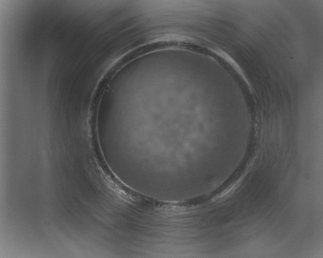 X0000072970783200607211222