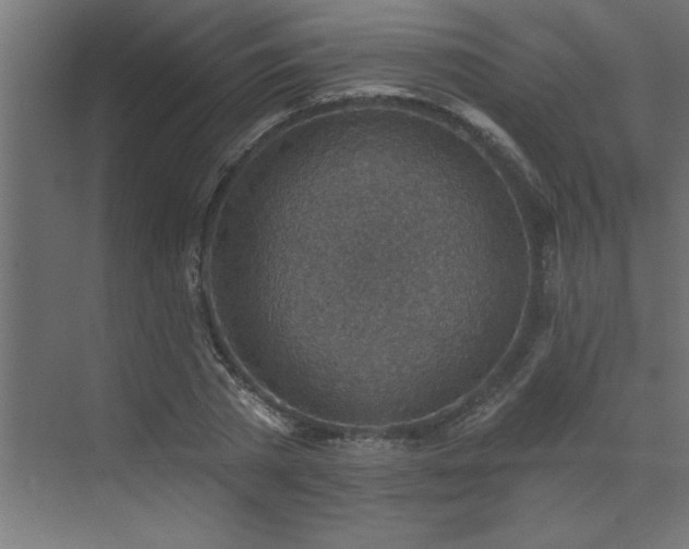 X0000072970785200607211222