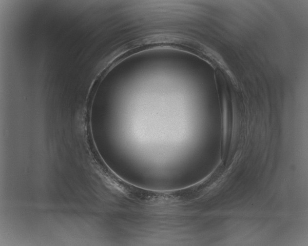 X0000072970786200607211222