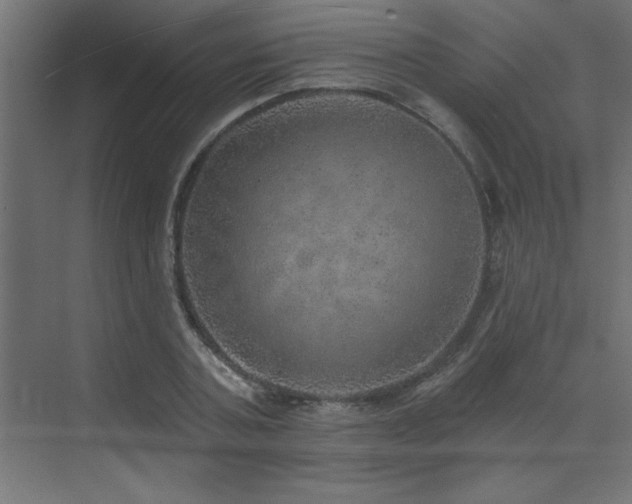 X0000072970787200607211222