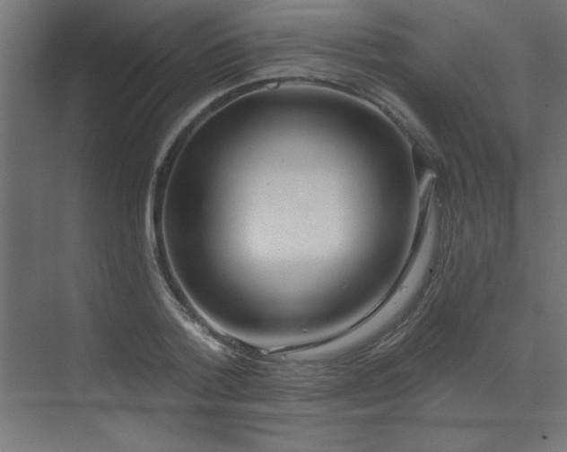 X0000072970788200607211222