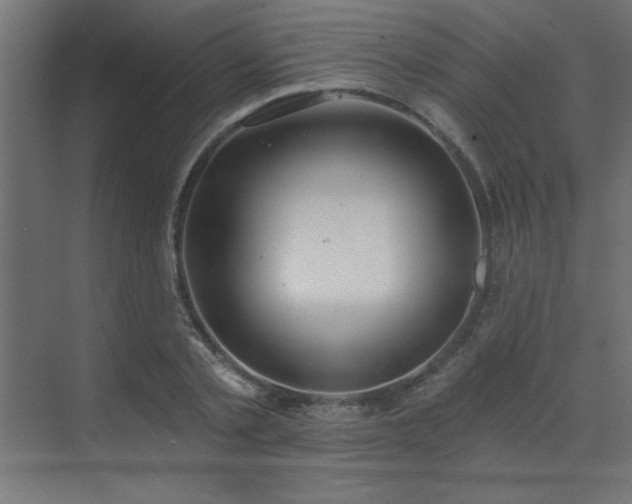 X0000072970789200607211222