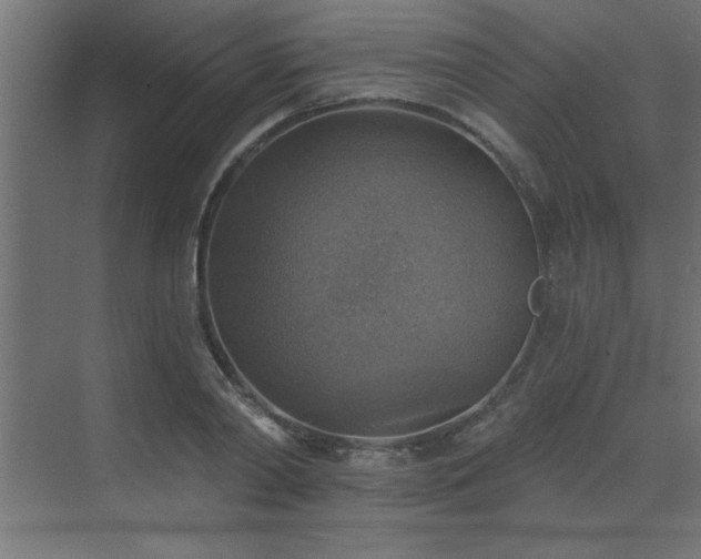 X0000072970790200607211222