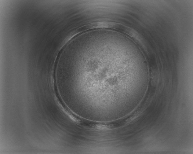 X0000072970794200607211222