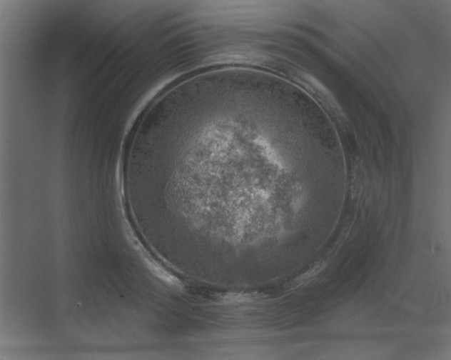 X0000072970796200607211222