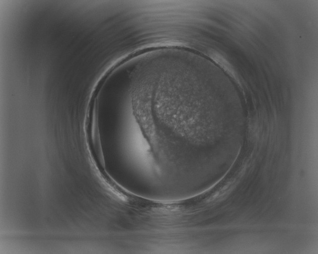 X0000072970797200607211222