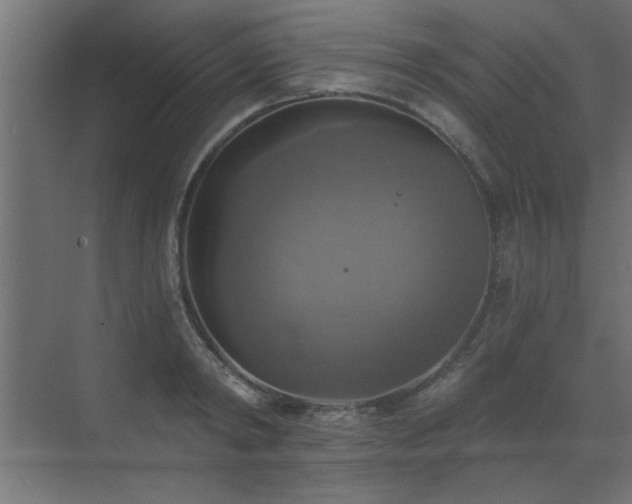 X0000072970798200607211222