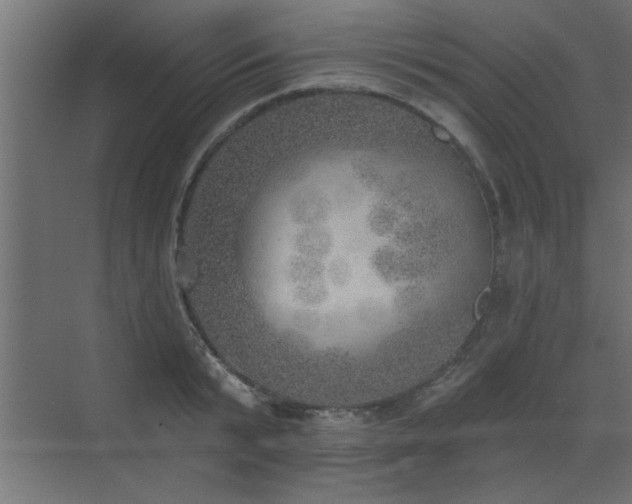 X0000072970799200607211222