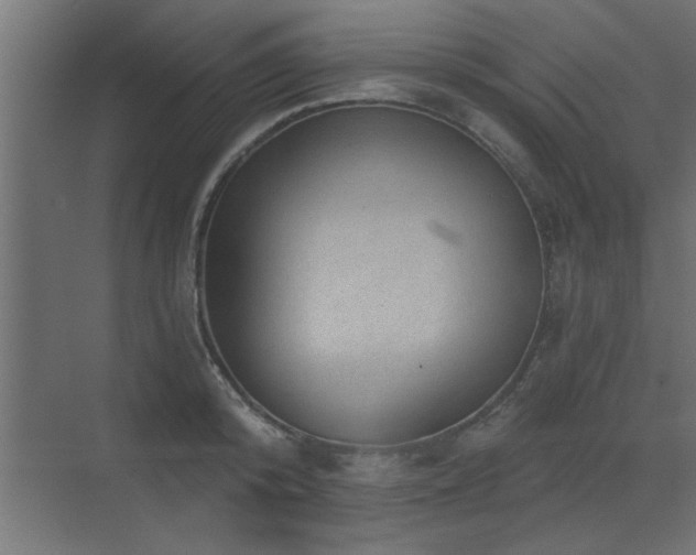 X0000072970800200607211222