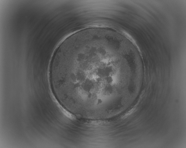 X0000072970803200607211222