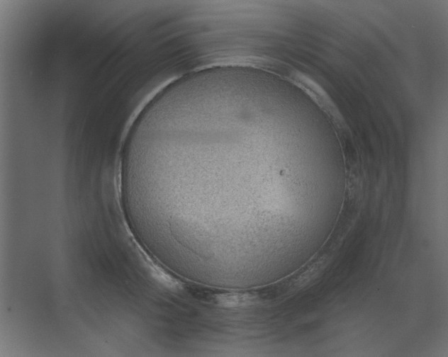 X0000072970804200607211222