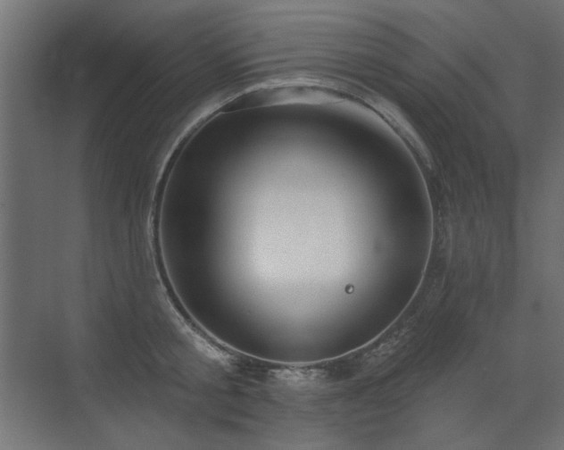 X0000072970805200607211222