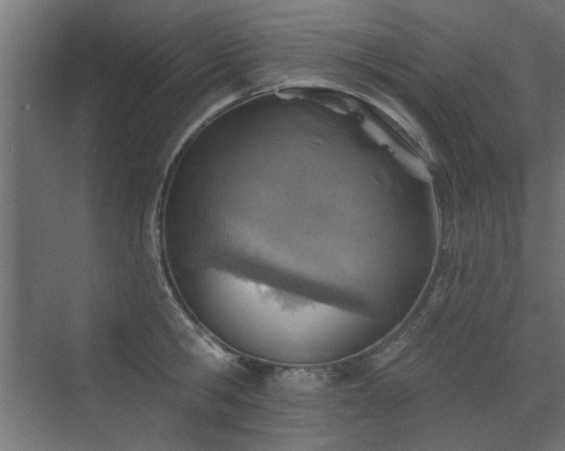 X0000072970806200607211222