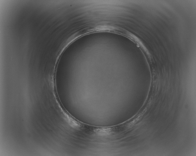 X0000072970810200607211222