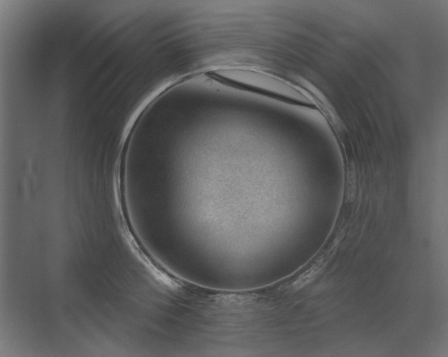 X0000072970812200607211222