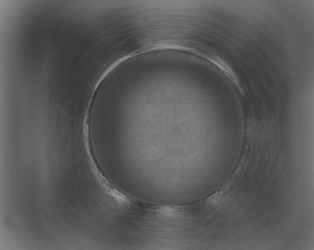 X0000072970814200607211221