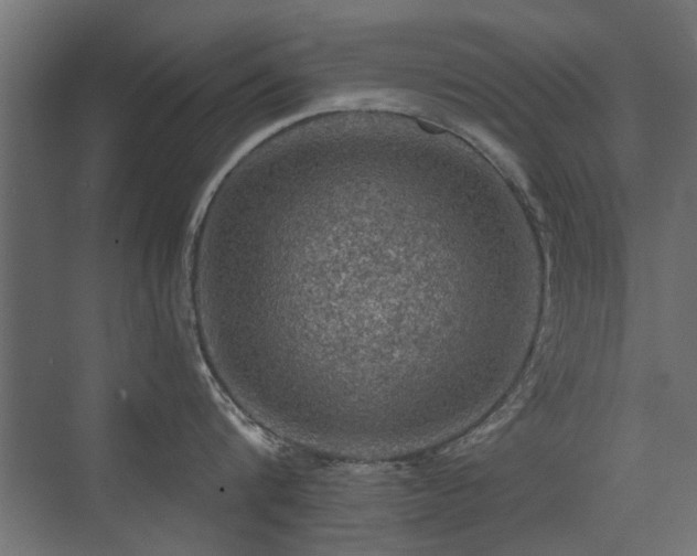 X0000072970816200607211221