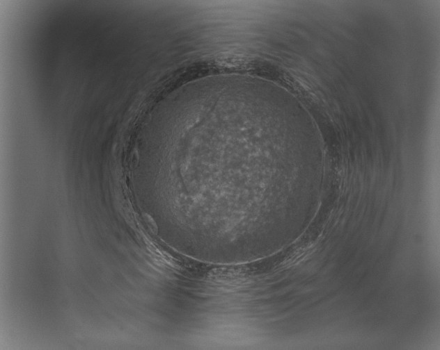 X0000072970817200607211221