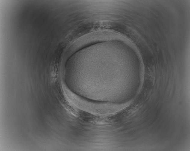 X0000072970818200607211221