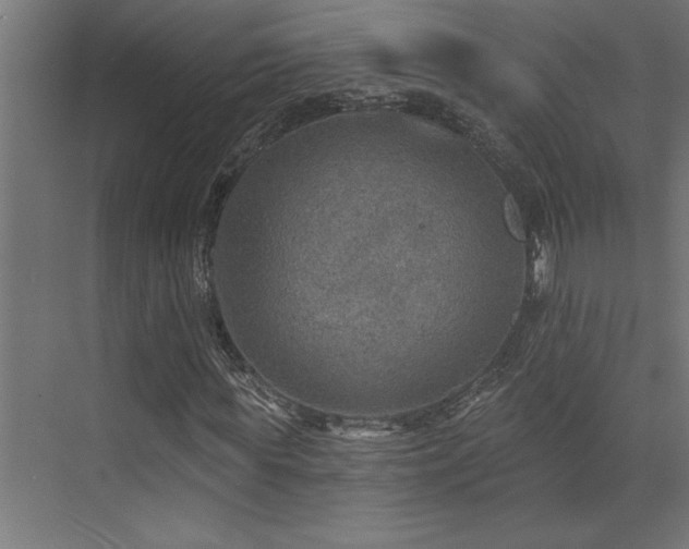 X0000072970819200607211221