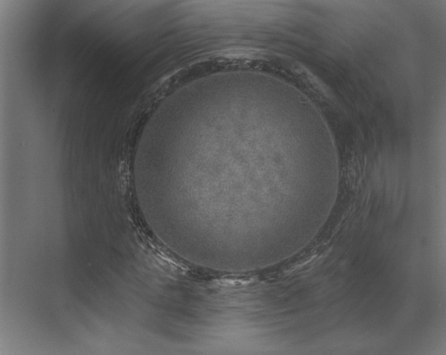 X0000072970821200607211221