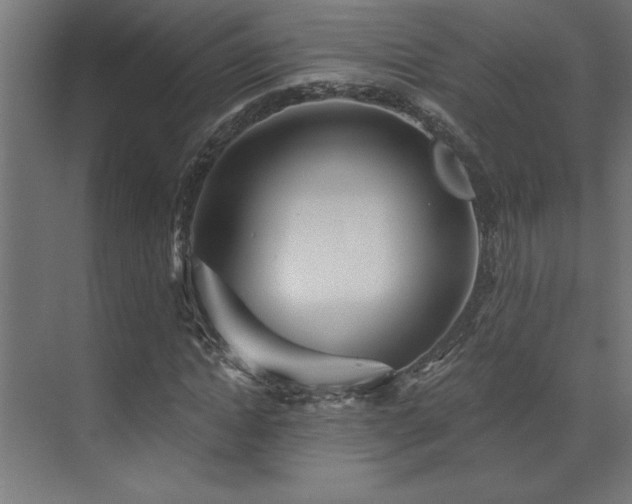 X0000072970822200607211221