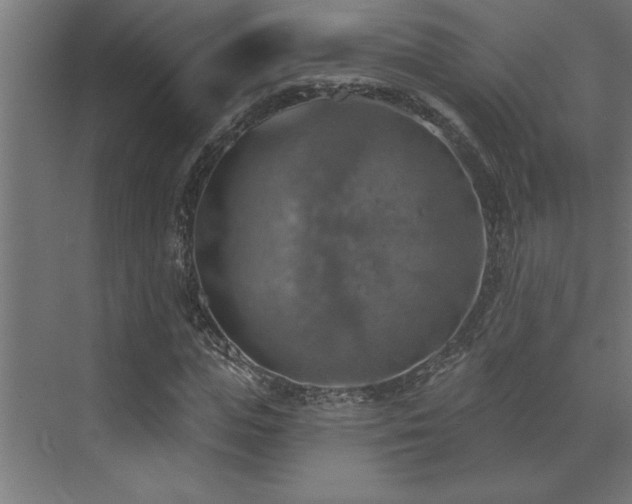 X0000072970823200607211221