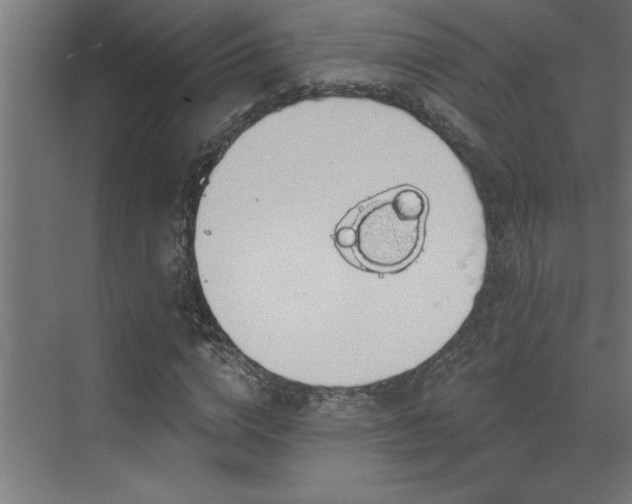 X0000072970824200607211221