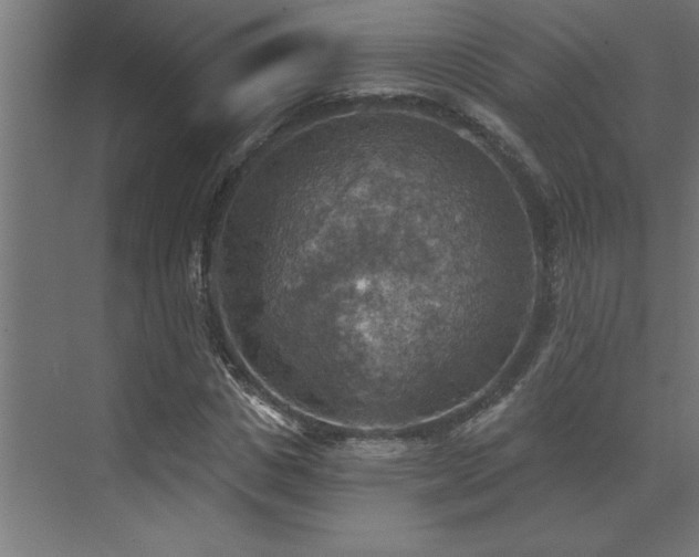 X0000072970825200607211221