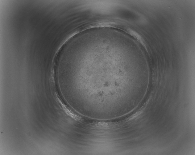 X0000072970827200607211221