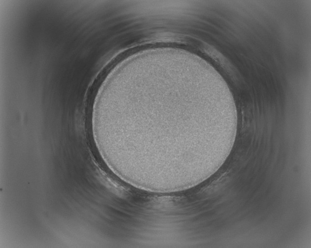 X0000072970828200607211221