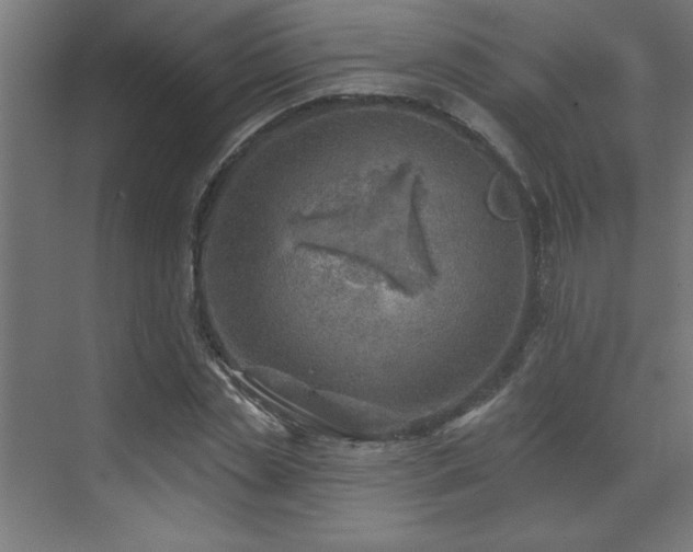 X0000072970829200607211221