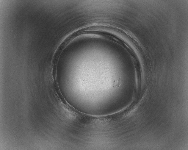 X0000072970830200607211221