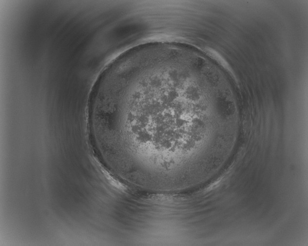 X0000072970831200607211221