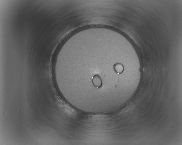 X0000072970832200607211221