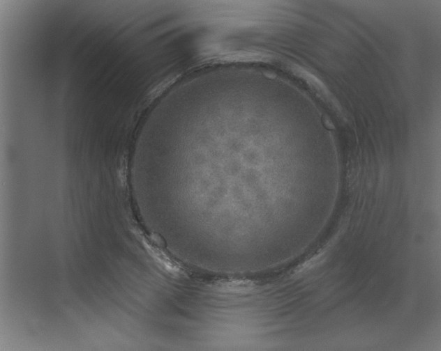 X0000072970833200607211221