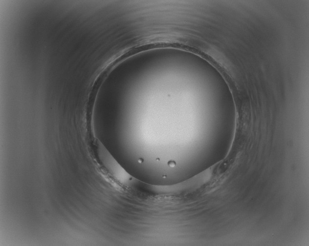 X0000072970834200607211221