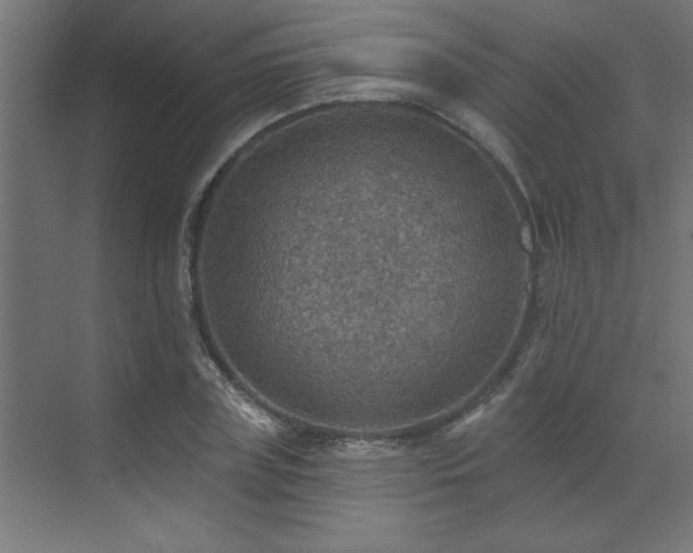 X0000072970835200607211221