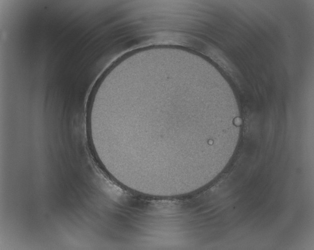 X0000072970836200607211221