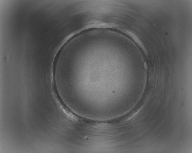 X0000072970837200607211221