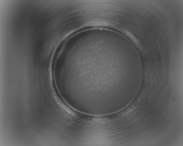 X0000072970840200607211221