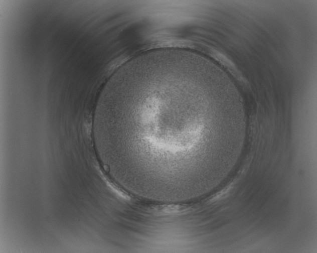 X0000072970841200607211221