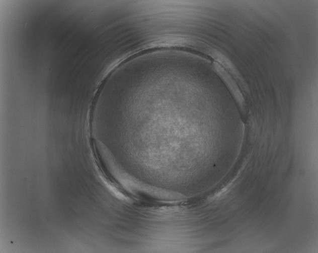 X0000072970842200607211221