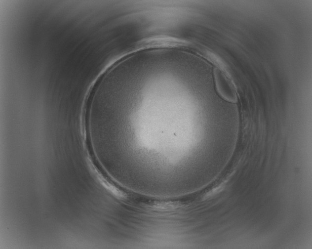 X0000072970843200607211221