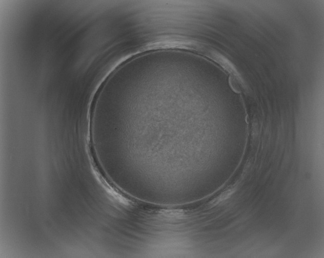 X0000072970844200607211221